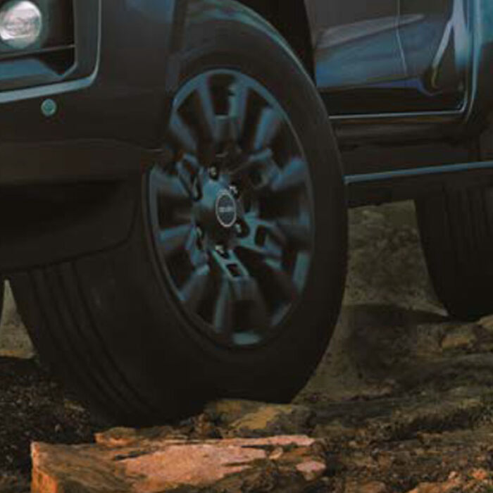 D-Max from Stan Palmer
