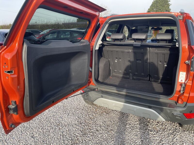 More views of Ford EcoSport