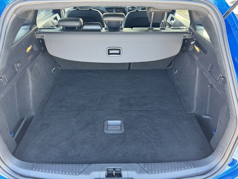 More views of Ford Focus