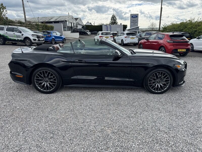 More views of Ford Mustang