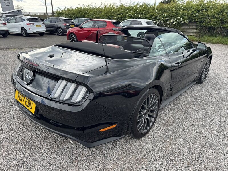 More views of Ford Mustang