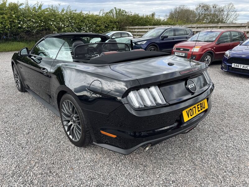 More views of Ford Mustang