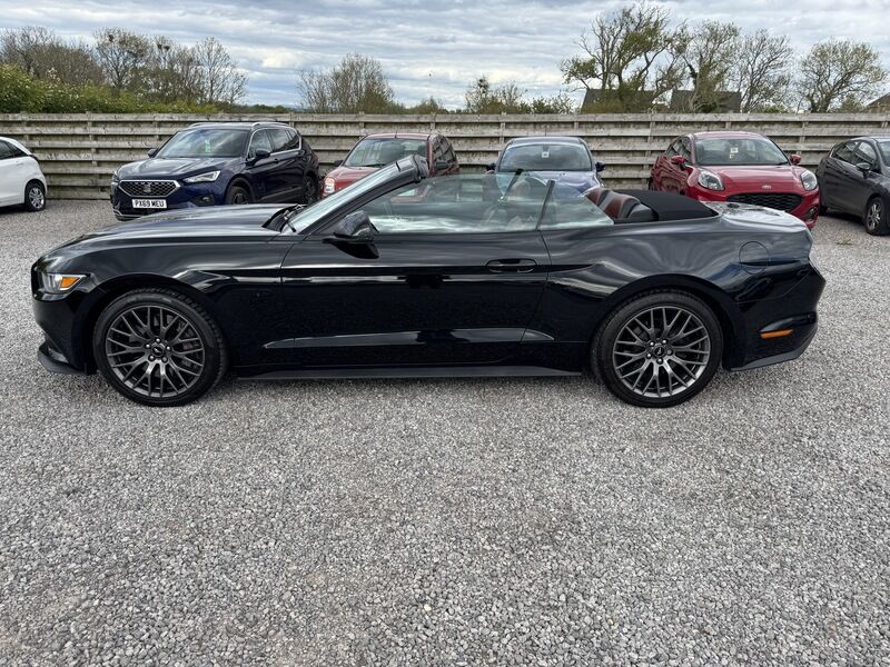 More views of Ford Mustang