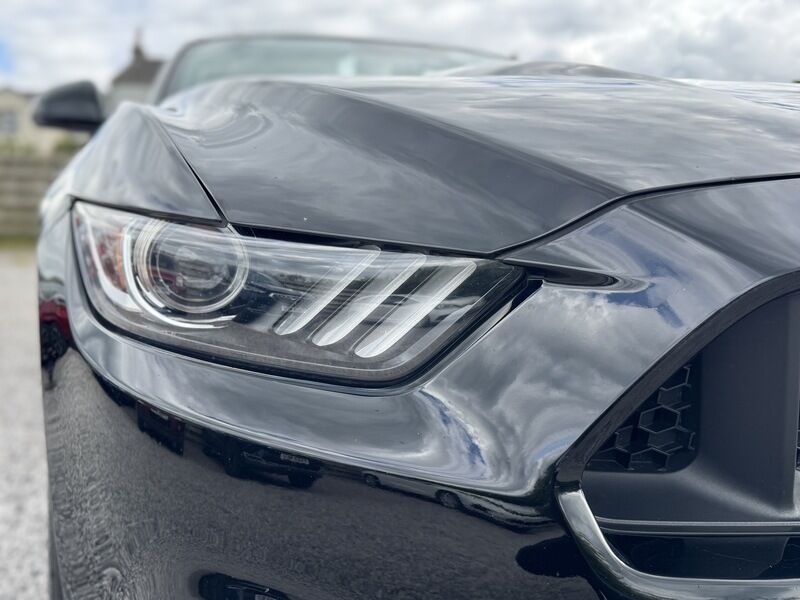 More views of Ford Mustang