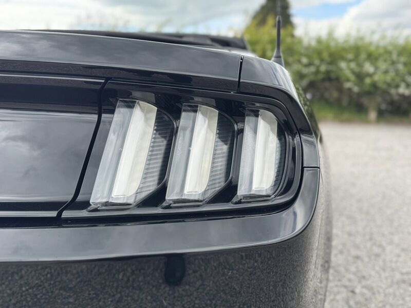 More views of Ford Mustang