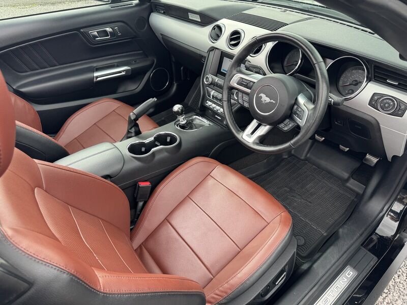 More views of Ford Mustang