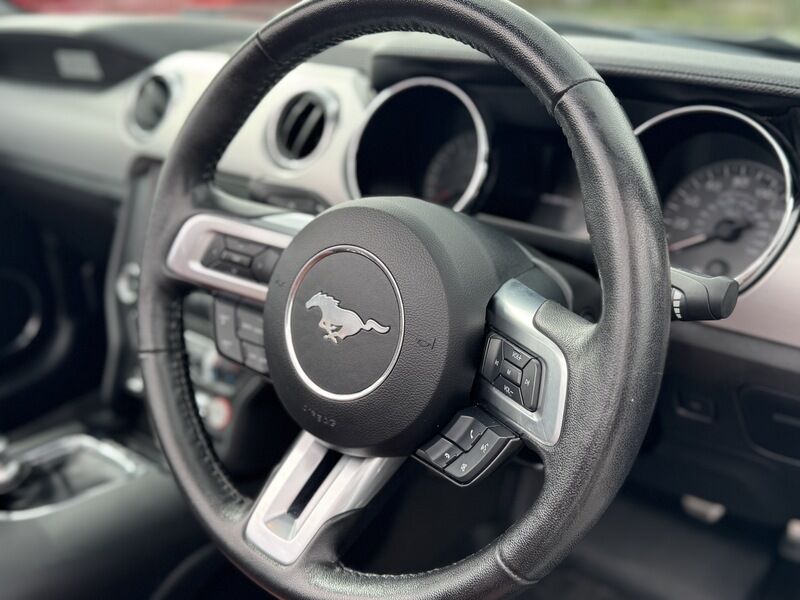 More views of Ford Mustang