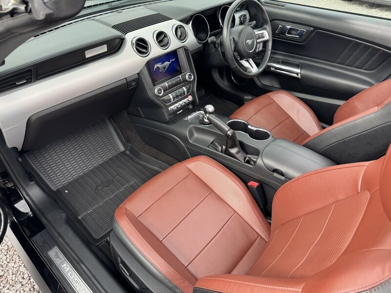 More views of Ford Mustang