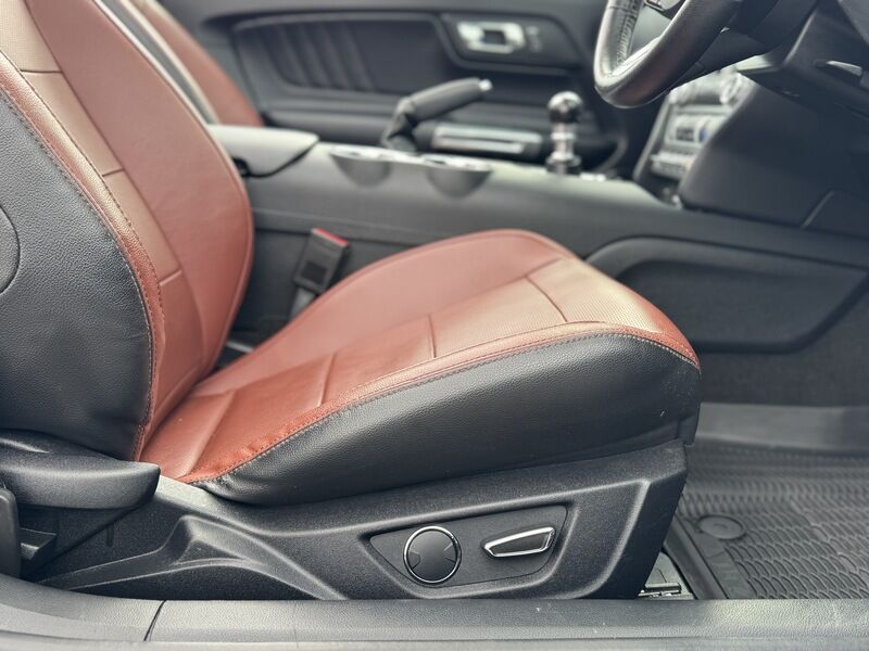 More views of Ford Mustang