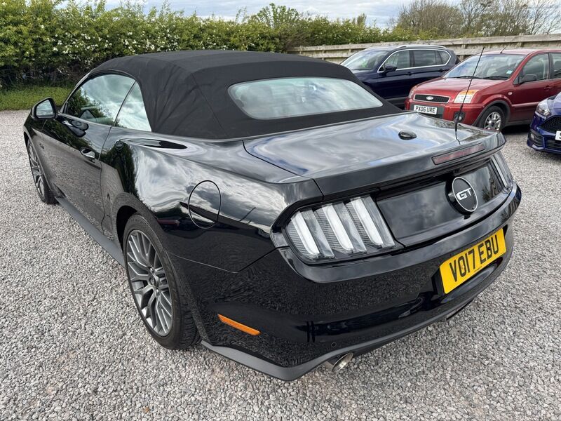 More views of Ford Mustang