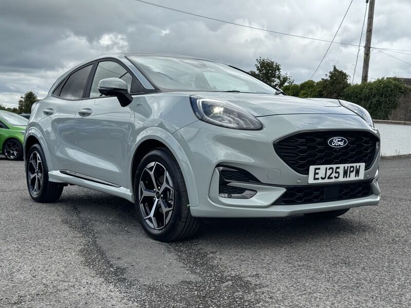 More views of Ford Puma