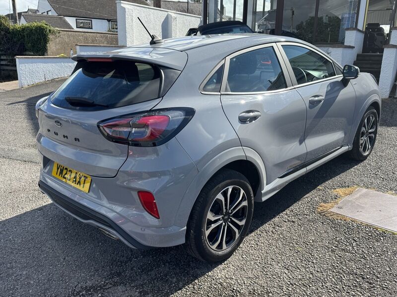 More views of Ford Puma